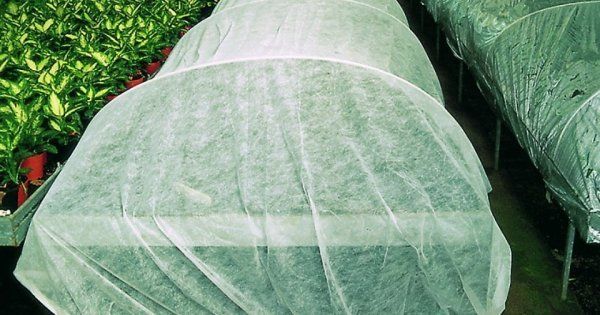 Укрывной материал Агроспан применяйте для притенения растений в жару